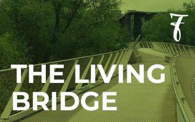 The Living Bridge